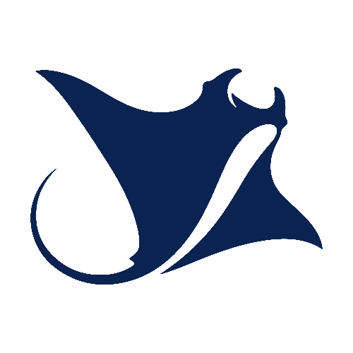 Manta Squadron