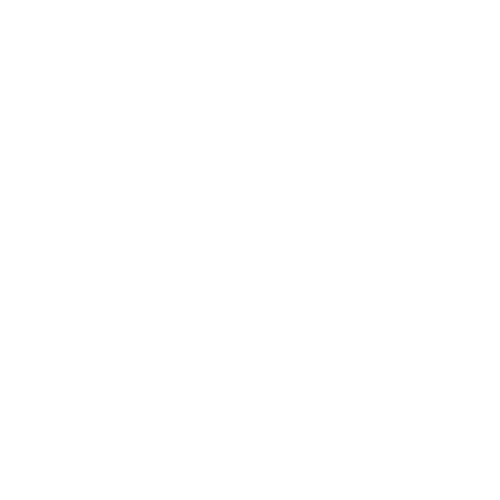 Manta Squadron